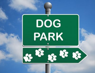 Dog Park - Rules