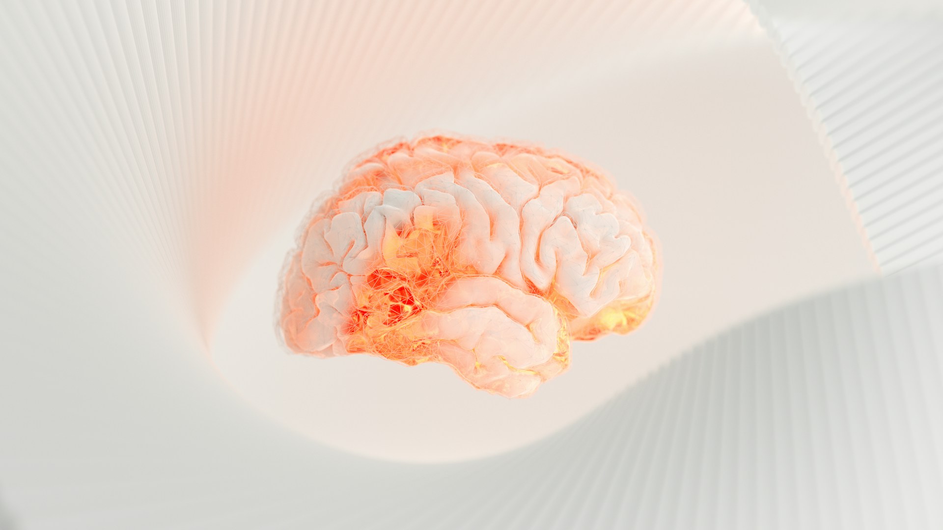 brain
