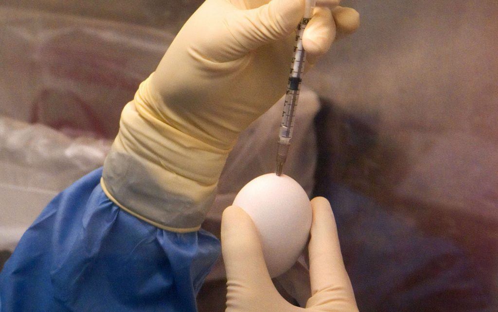 coronavirus protocol