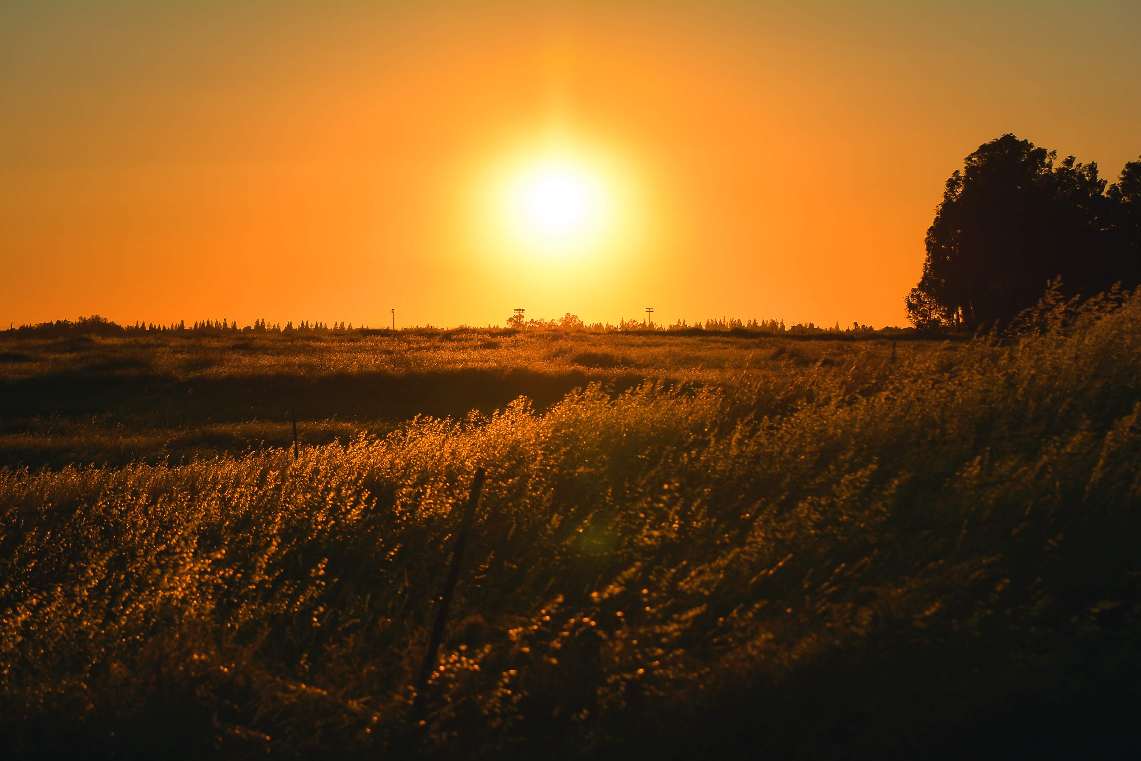 sunset